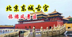 美国韩国日本的小逼逼靠中国北京-东城古宫旅游风景区